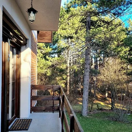 Vila Lucic Zlatibor Exterior foto