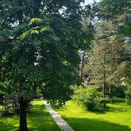 Vila Lucic Zlatibor Exterior foto