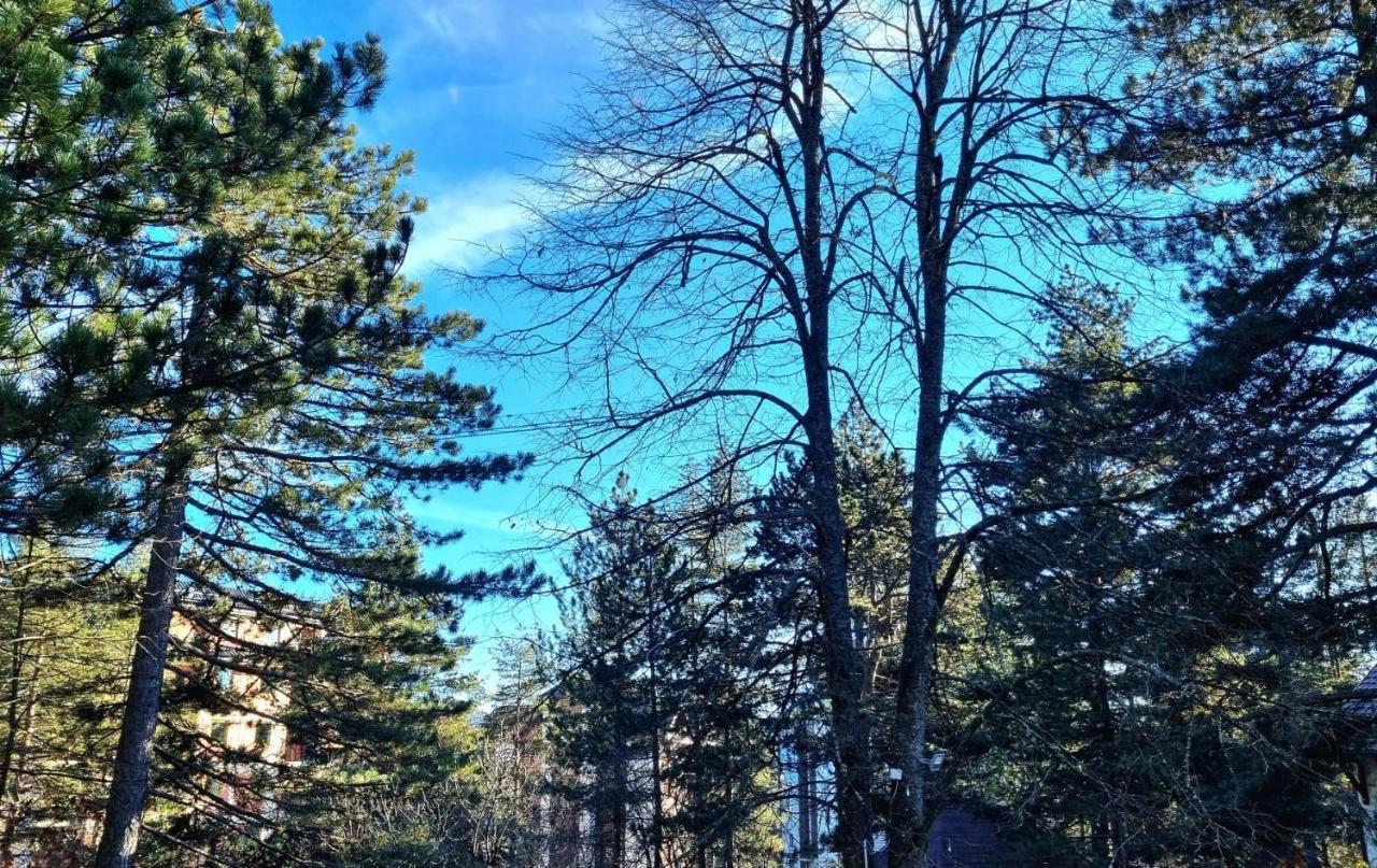 Lucic * Zlatibor