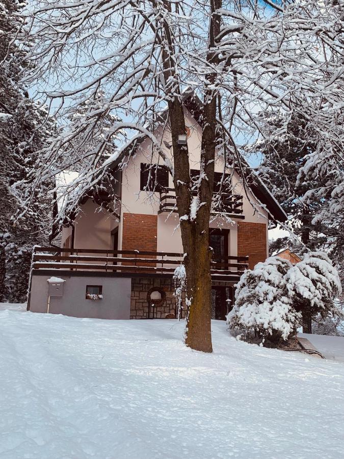 Lucic * Zlatibor
